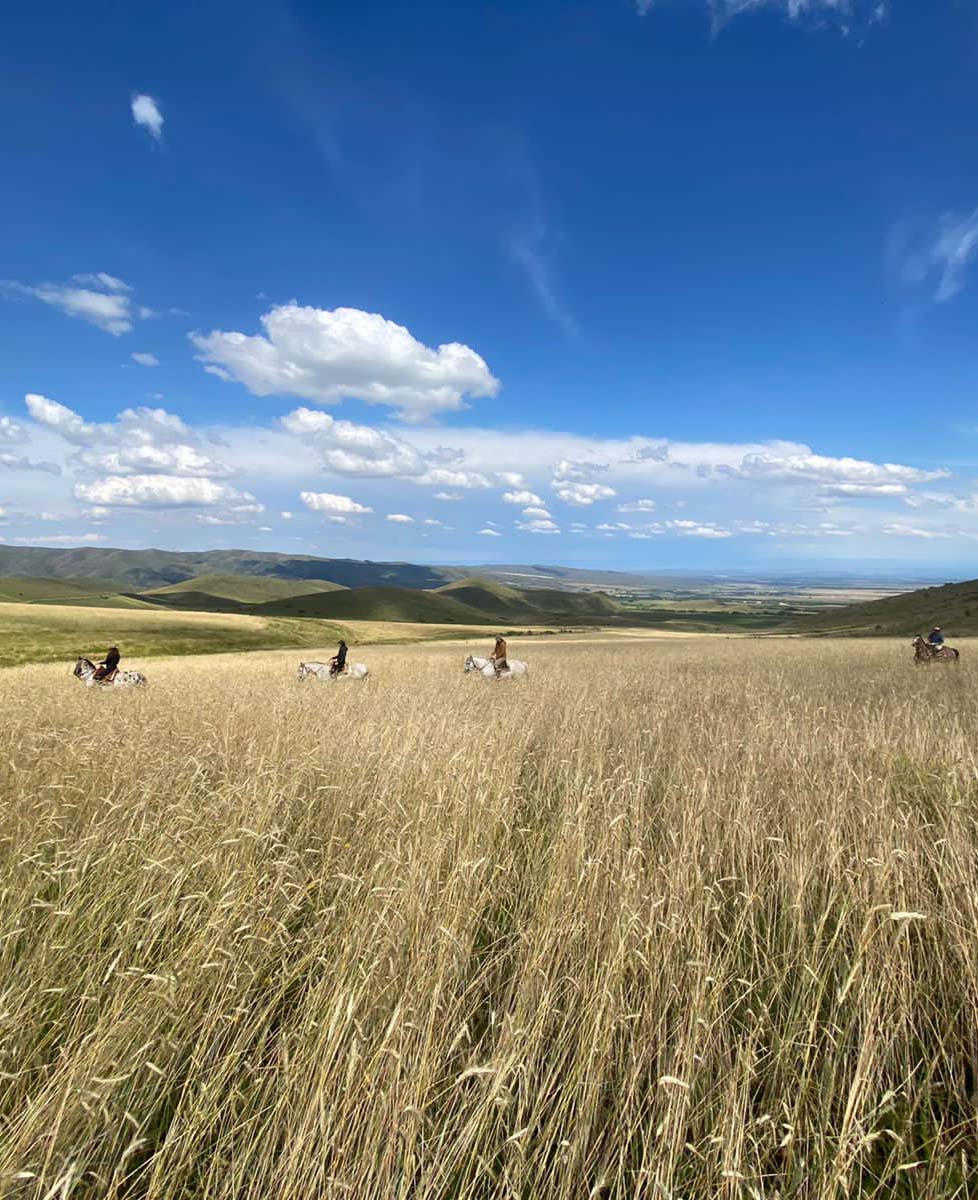 2d43cca7-9ef5-474a-9e47-c90299acb86f